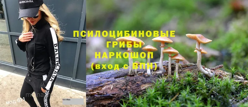 Галлюциногенные грибы Magic Shrooms Питкяранта